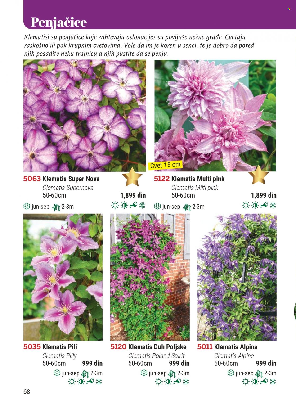 Flora Ekspres katalog. Stranica 68