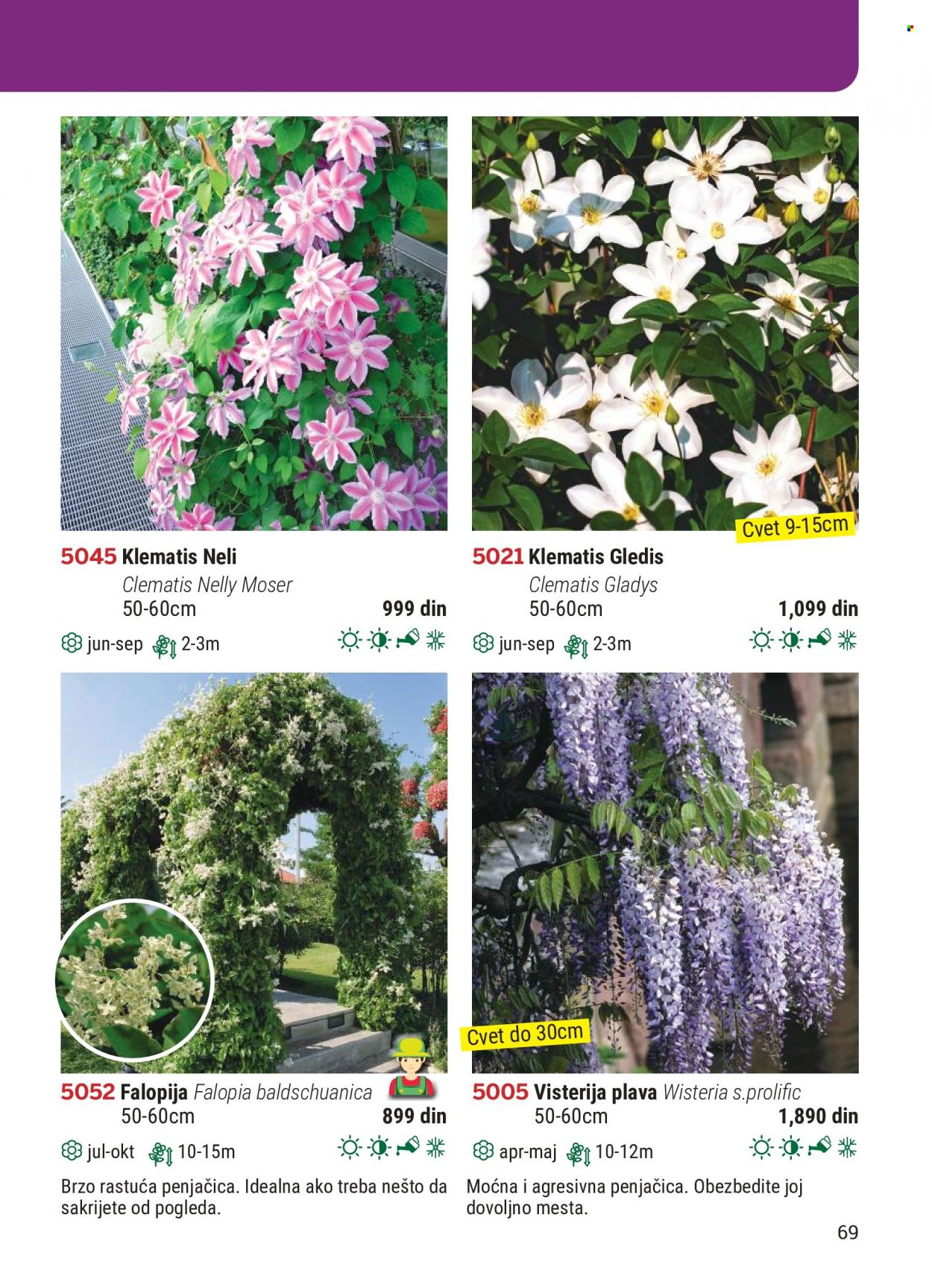 Flora Ekspres katalog. Stranica 69