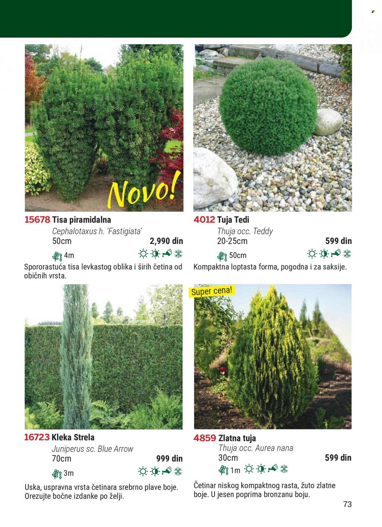 Flora Ekspres katalog. Stranica 73