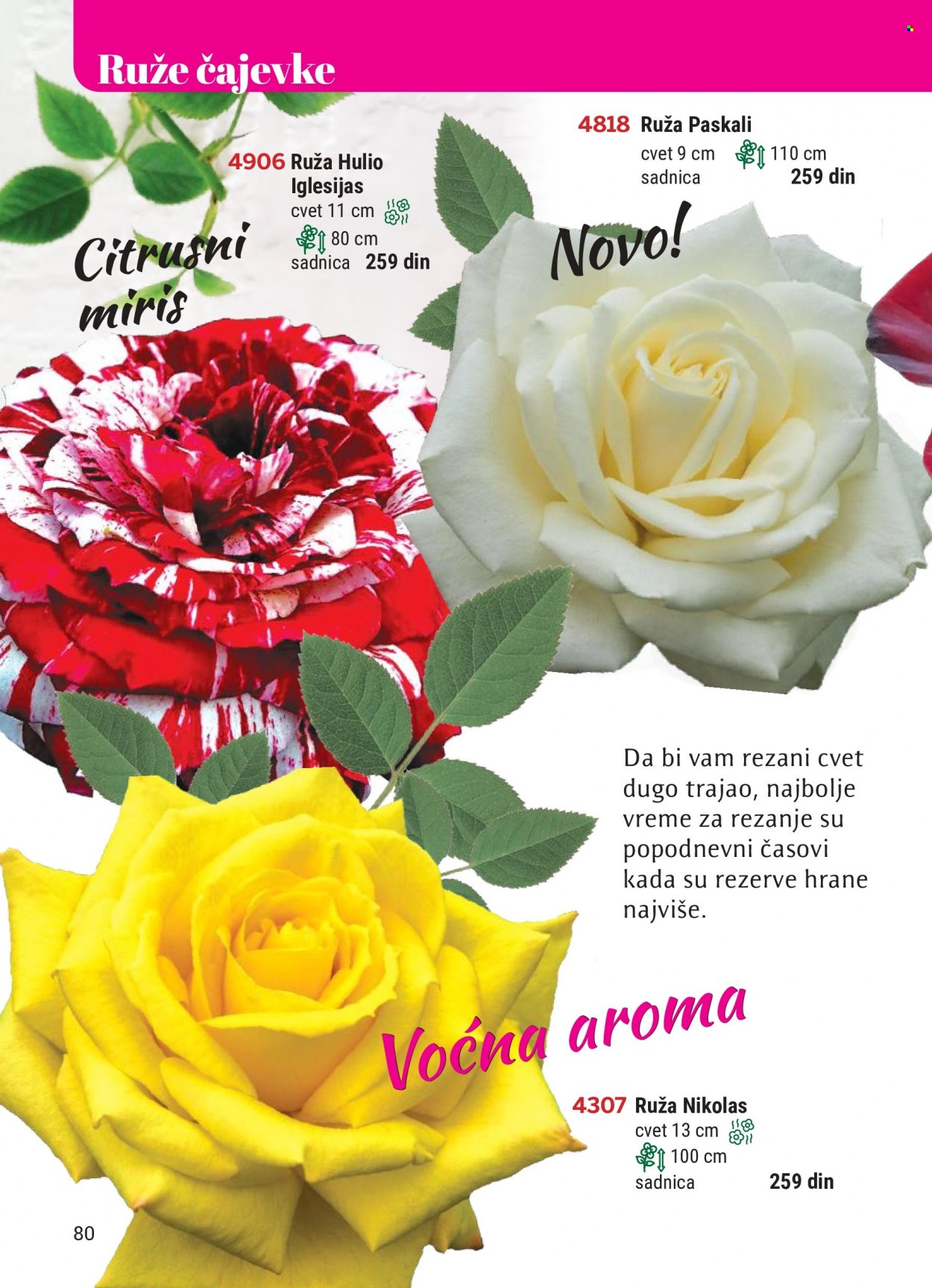 Flora Ekspres katalog. Stranica 80