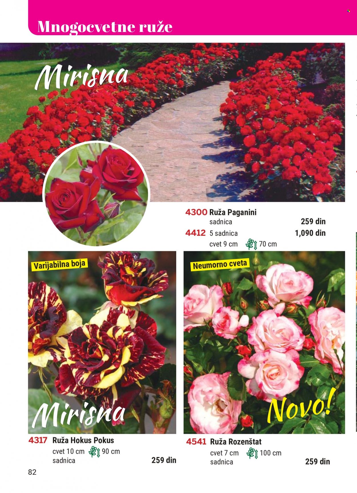 thumbnail - Flora Ekspres katalog - Proizvodi na akciji - ruže. Stranica 82.