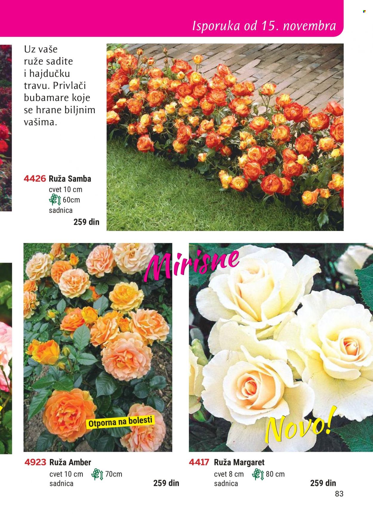 Flora Ekspres katalog. Stranica 83