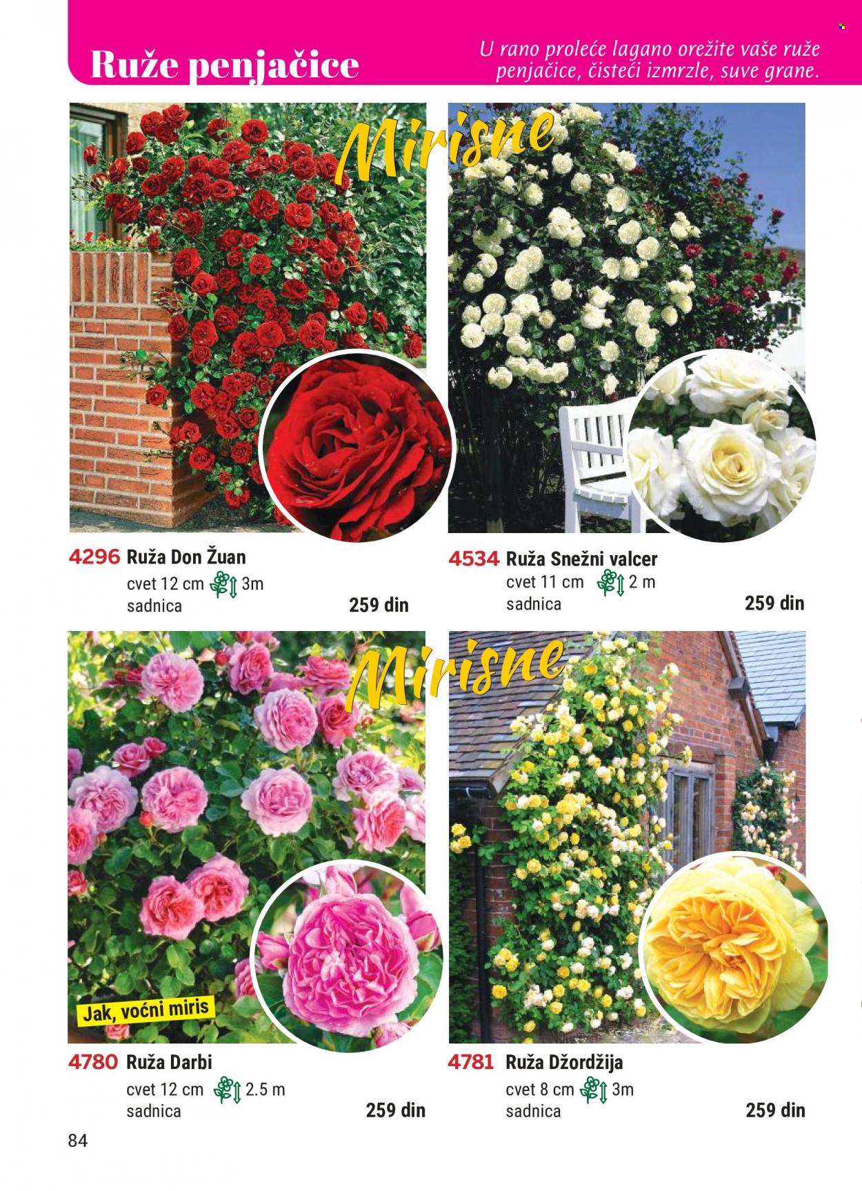 Flora Ekspres katalog. Stranica 84