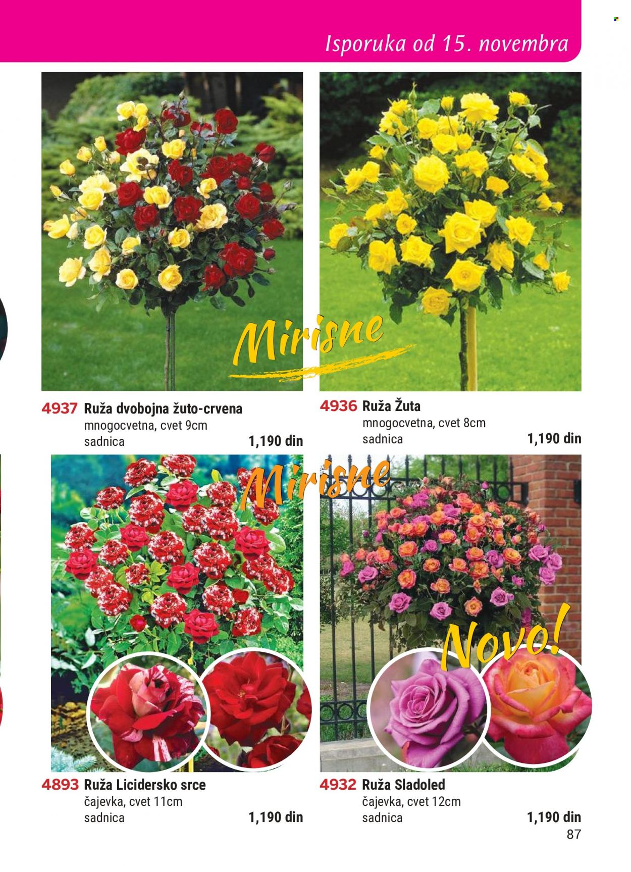 Flora Ekspres katalog. Stranica 87