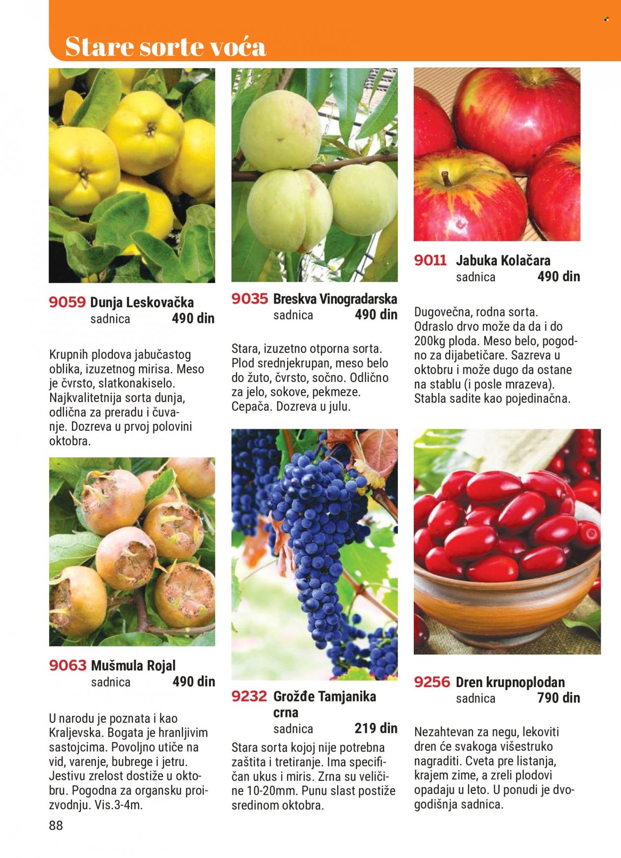 Flora Ekspres katalog. Stranica 88