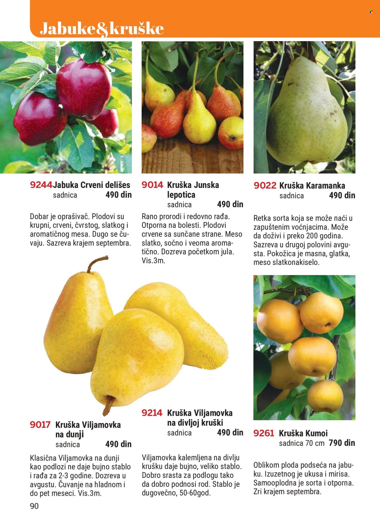 Flora Ekspres katalog. Stranica 90
