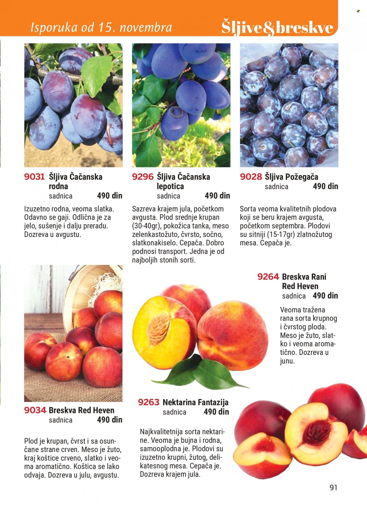 Flora Ekspres katalog. Stranica 91