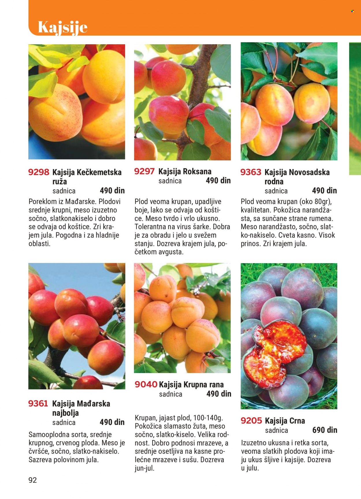 Flora Ekspres katalog. Stranica 92