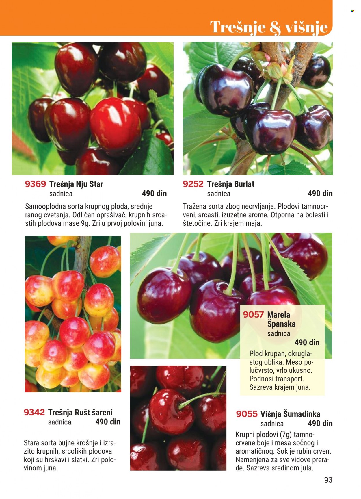 Flora Ekspres katalog. Stranica 93