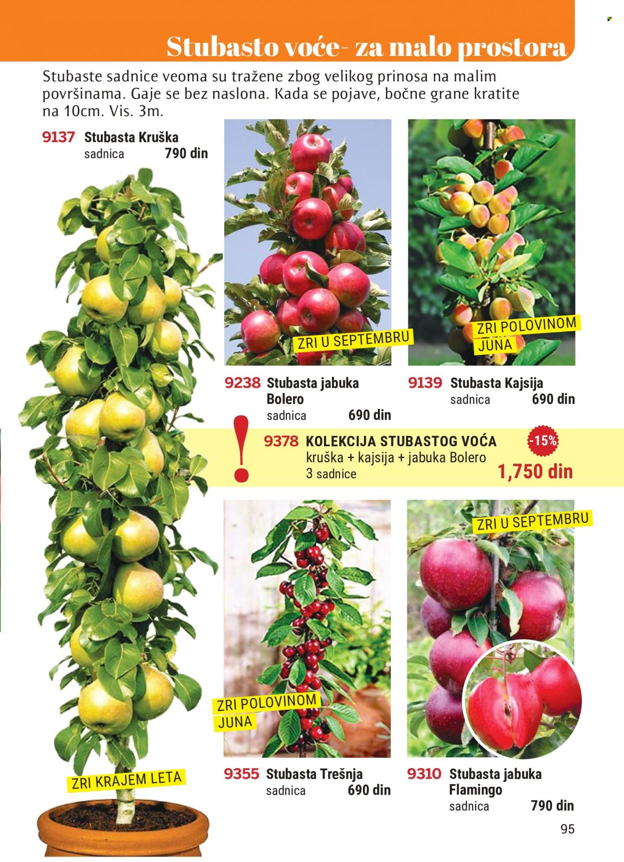 Flora Ekspres katalog. Stranica 95
