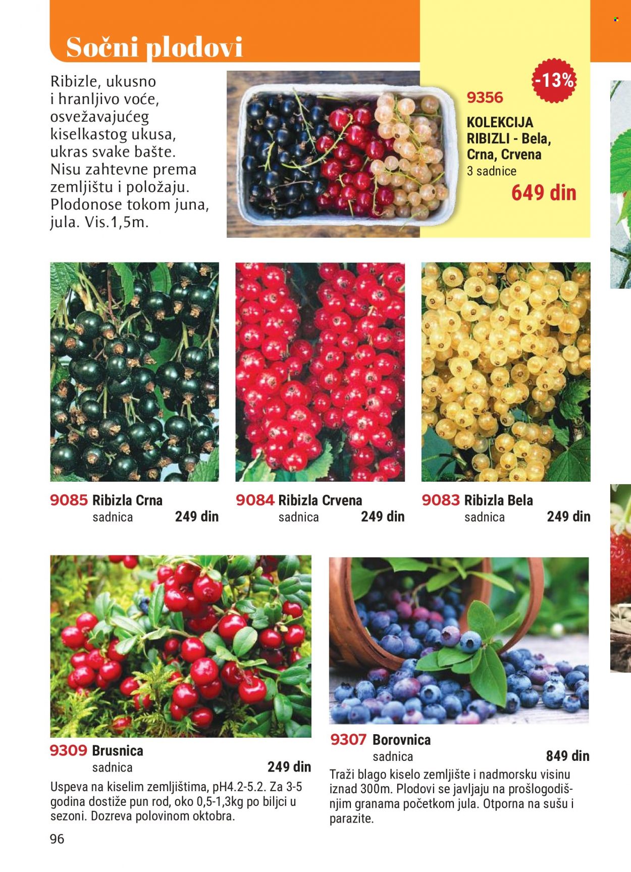 Flora Ekspres katalog. Stranica 96