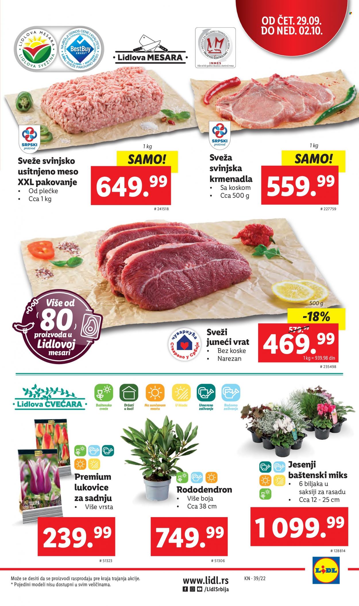 Lidl katalog - 29.09.2022 - 05.10.2022. Stranica 5