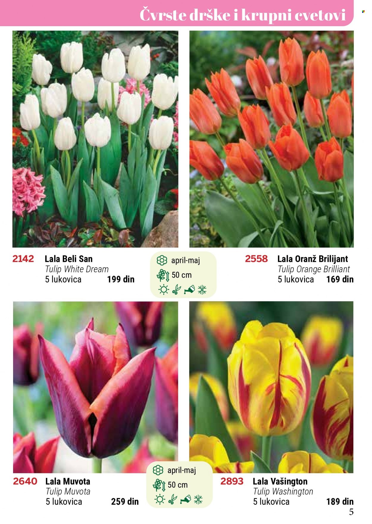 Flora Ekspres katalog. Stranica 5