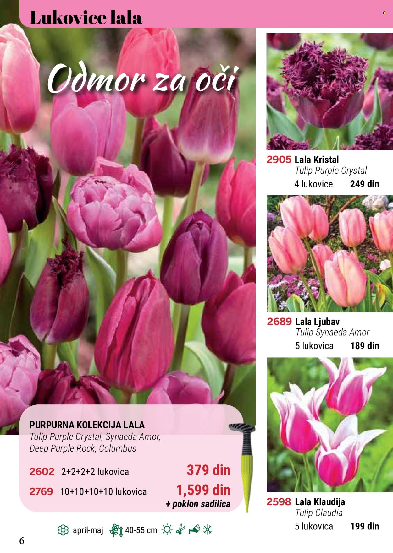Flora Ekspres katalog. Stranica 6