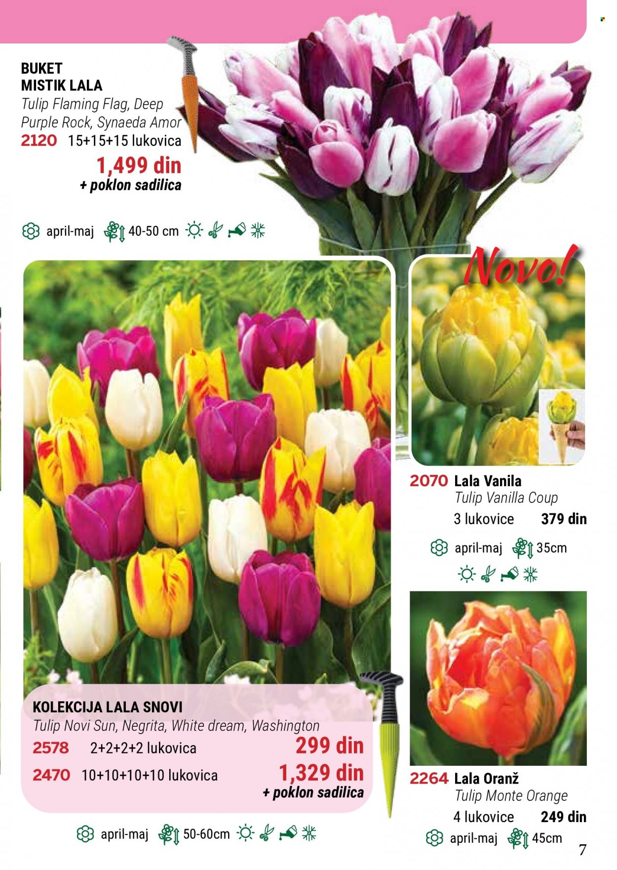 Flora Ekspres katalog. Stranica 7