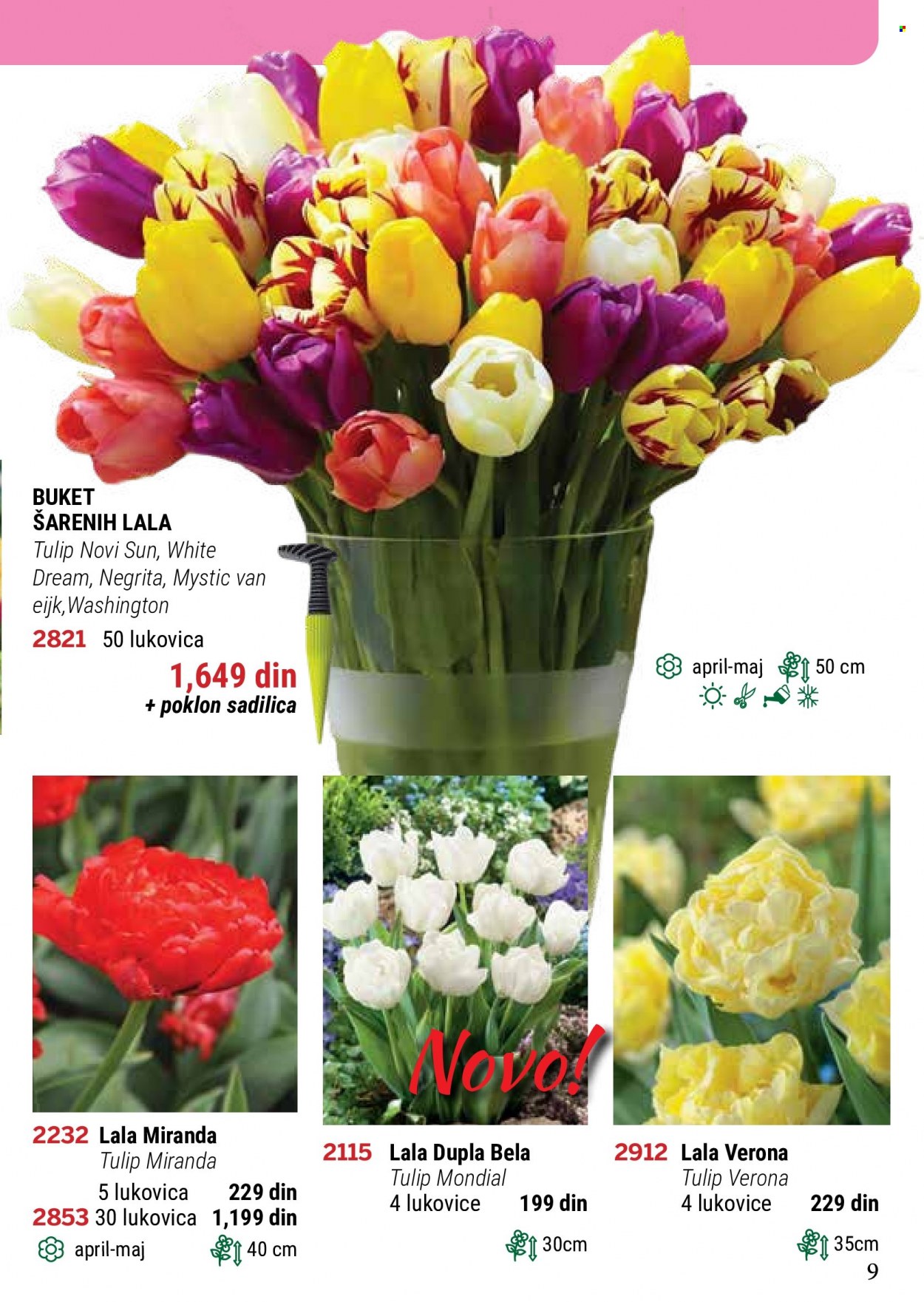 thumbnail - Flora Ekspres katalog.