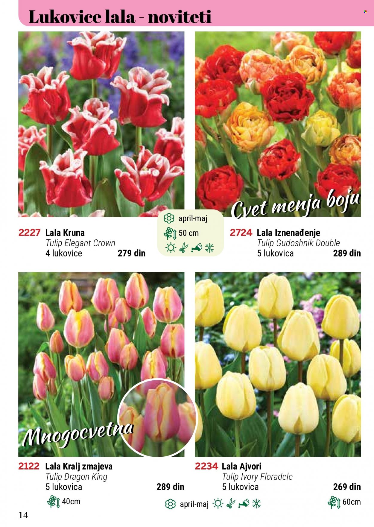 Flora Ekspres katalog. Stranica 14