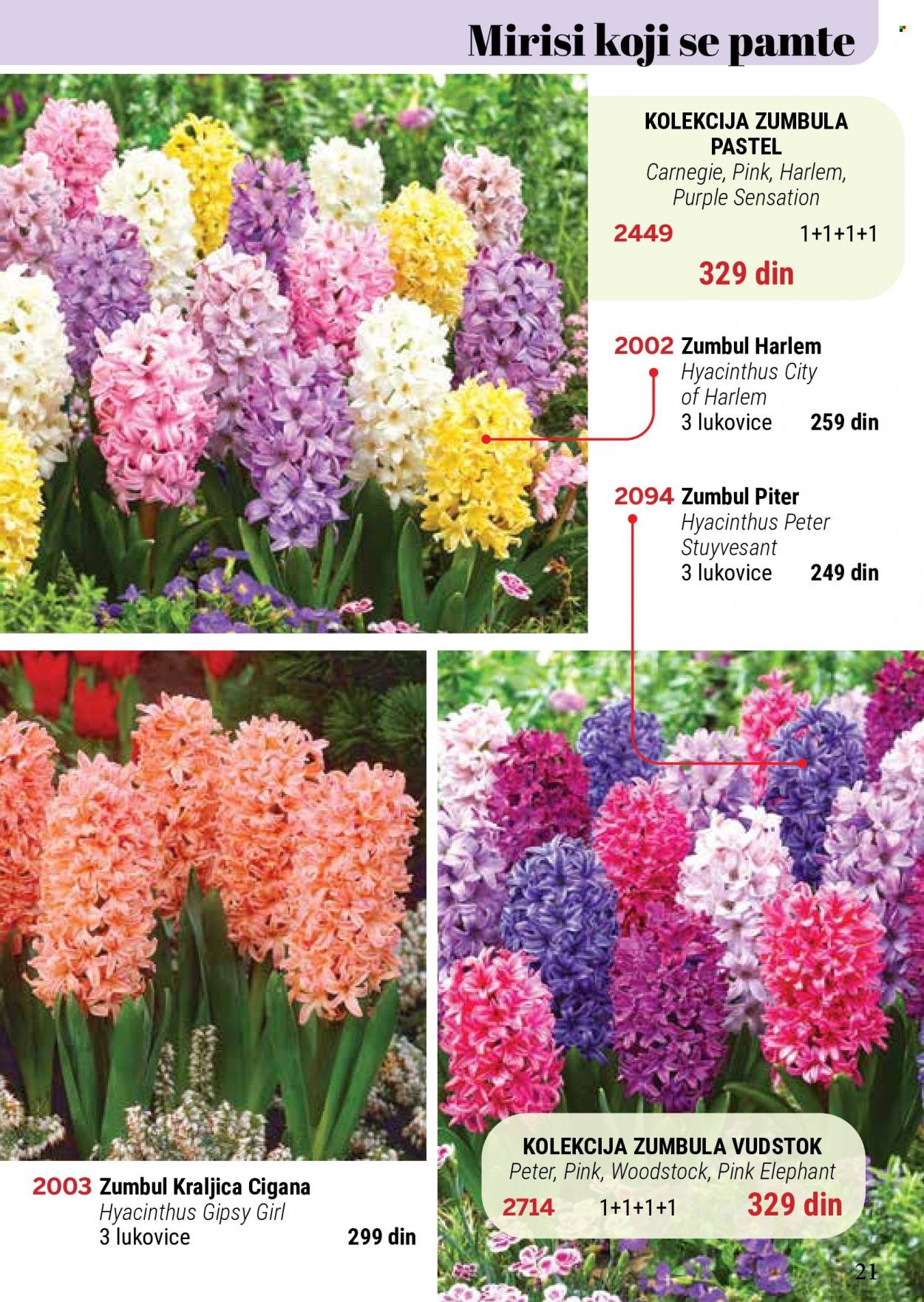 Flora Ekspres katalog. Stranica 21