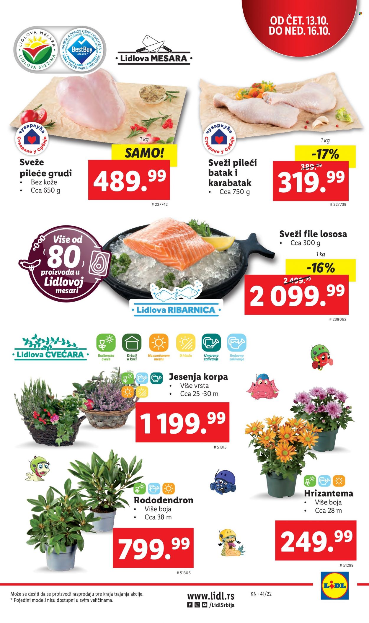 Lidl katalog - 13.10.2022 - 19.10.2022. Stranica 5