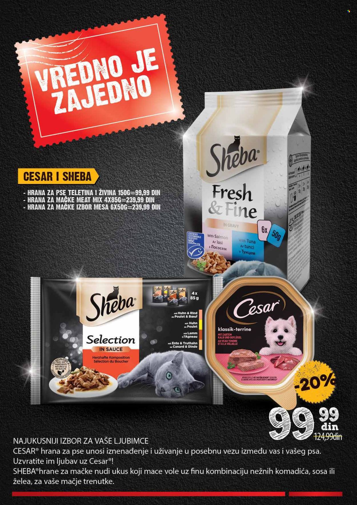 Idea katalog - 17.10.2022 - 13.11.2022. Stranica 24