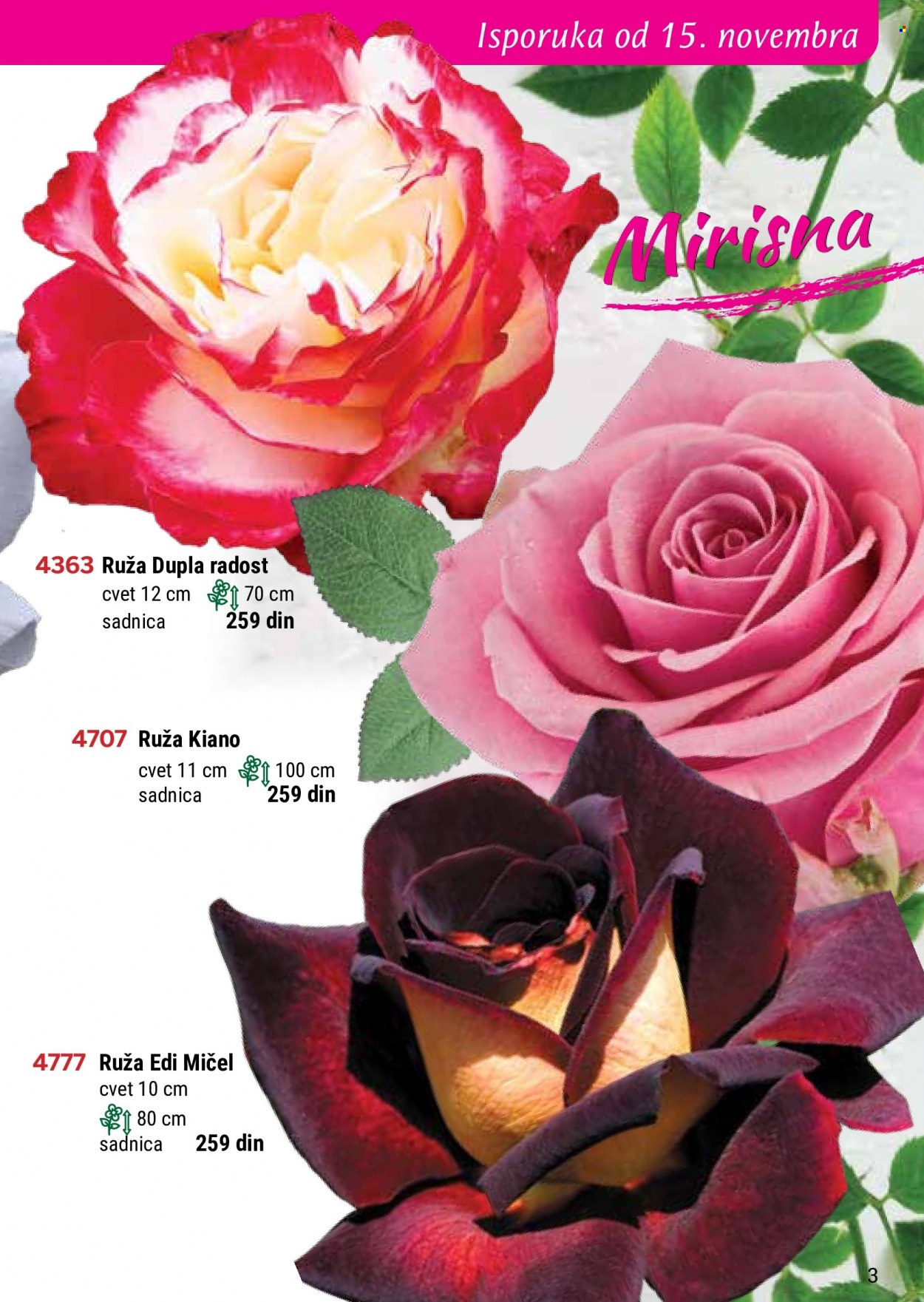 Flora Ekspres katalog. Stranica 3
