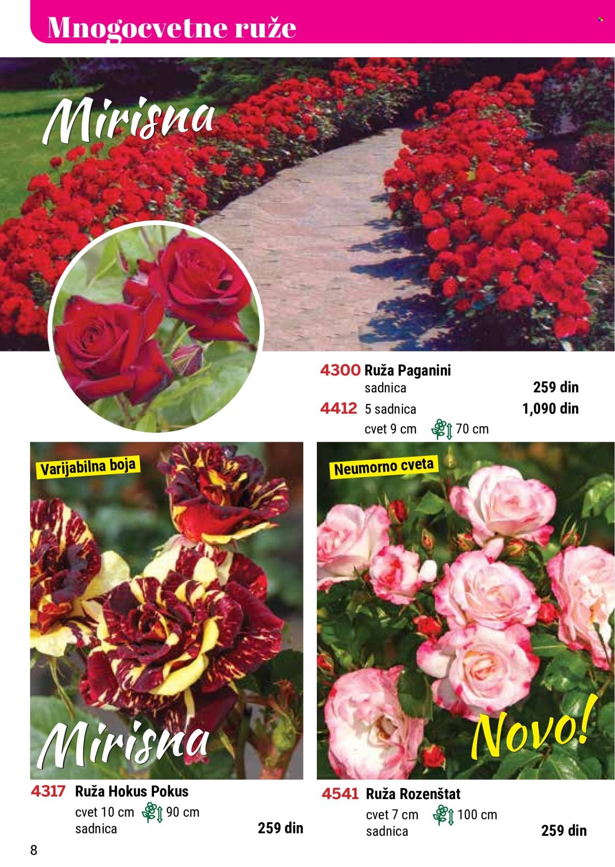 Flora Ekspres katalog. Stranica 8