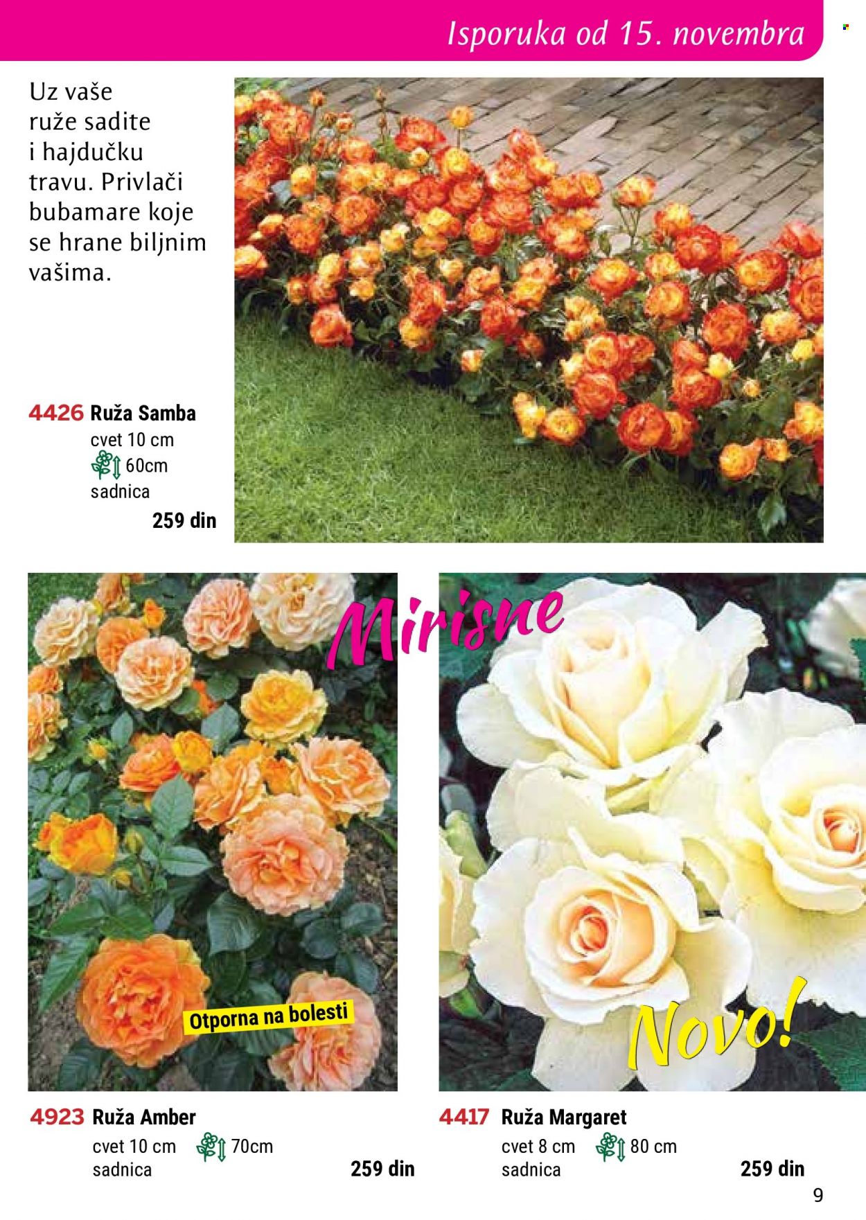 Flora Ekspres katalog. Stranica 9