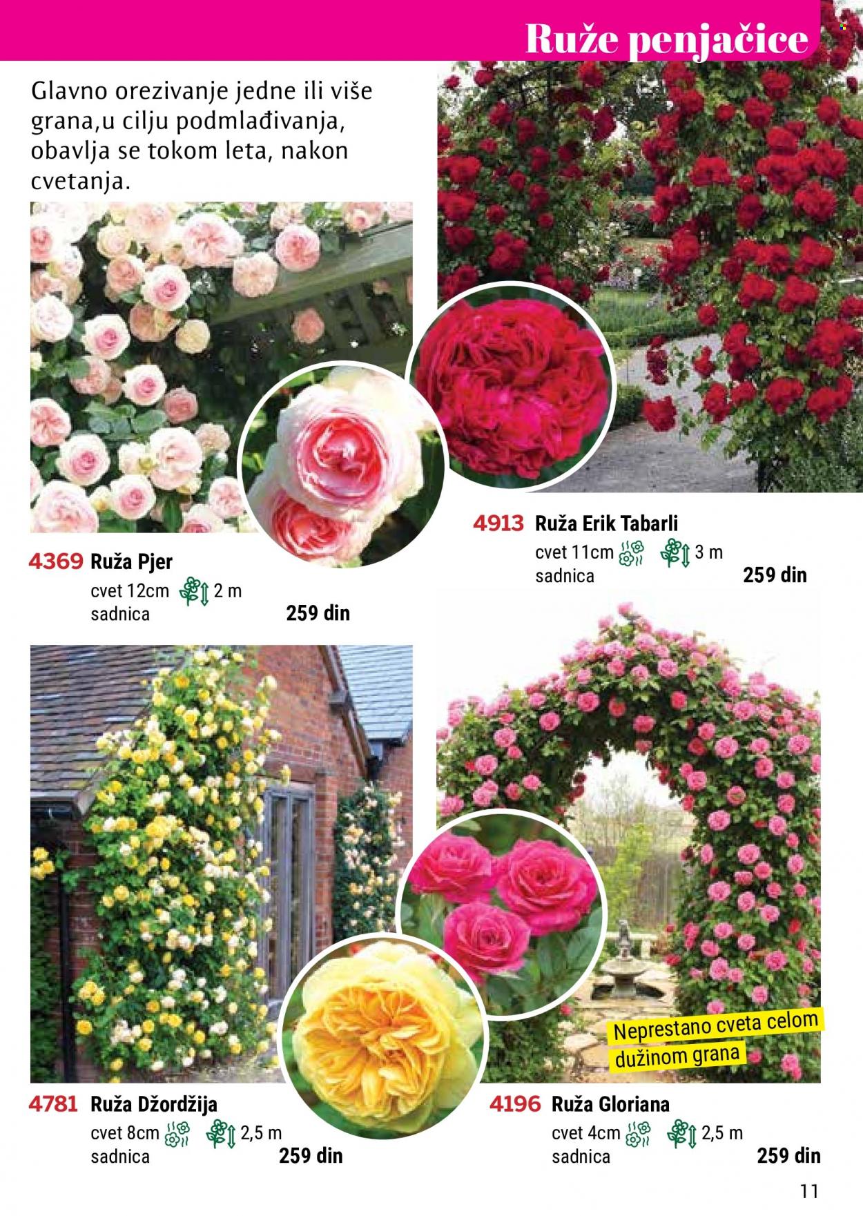 Flora Ekspres katalog. Stranica 11