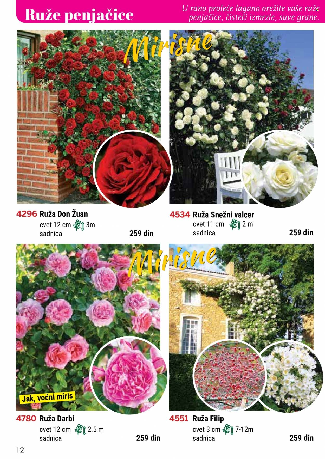 Flora Ekspres katalog. Stranica 12