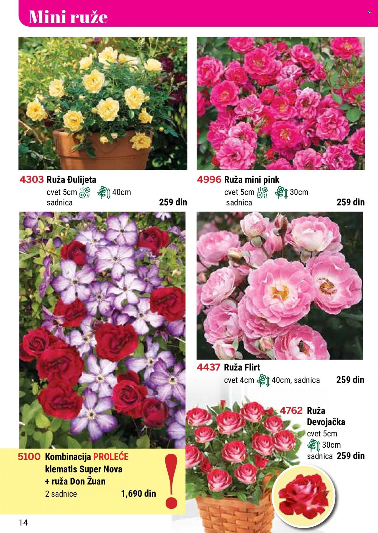 Flora Ekspres katalog. Stranica 14