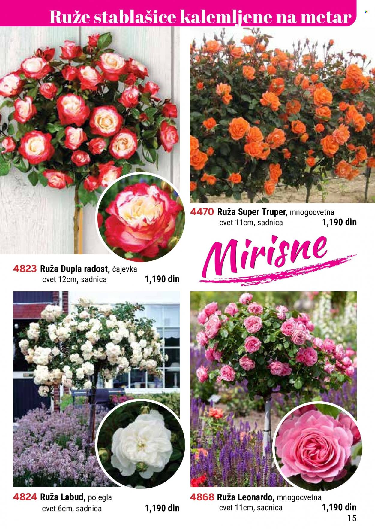 Flora Ekspres katalog. Stranica 15