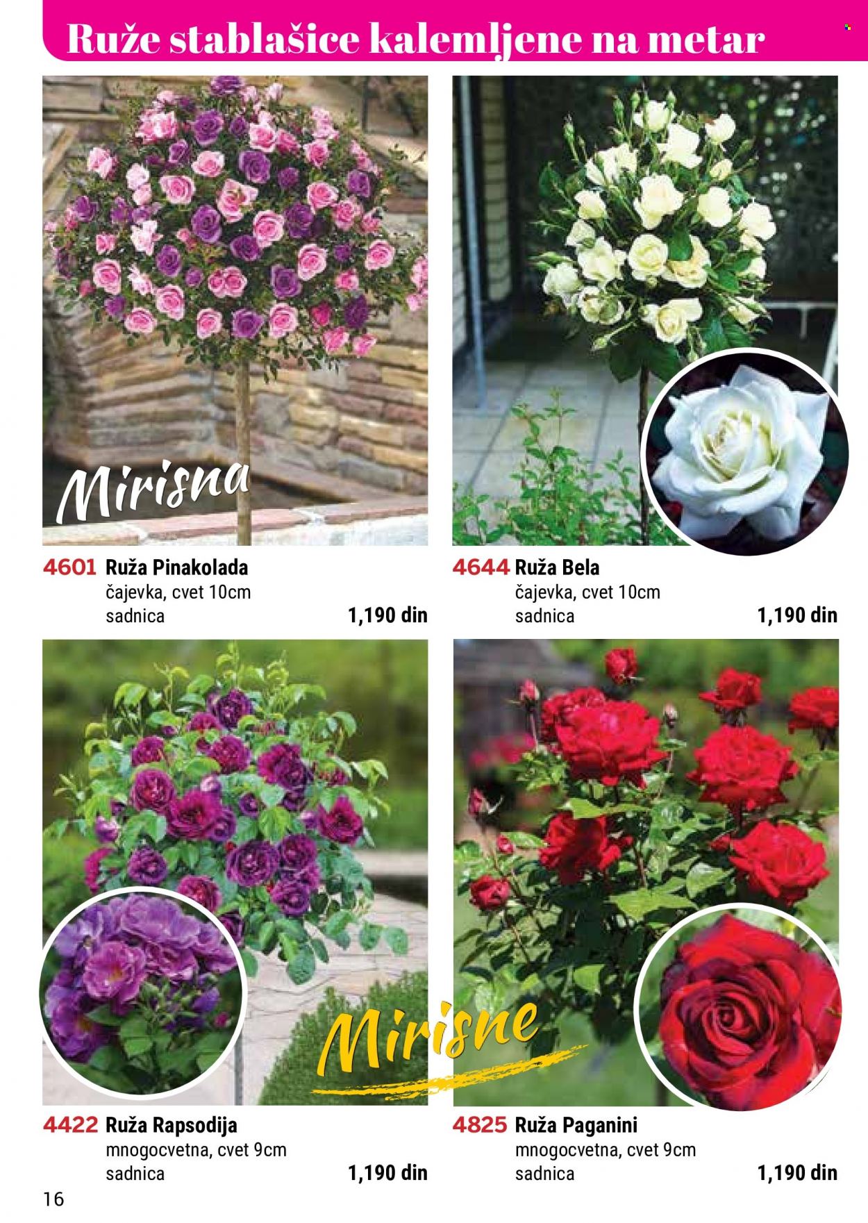 Flora Ekspres katalog. Stranica 16