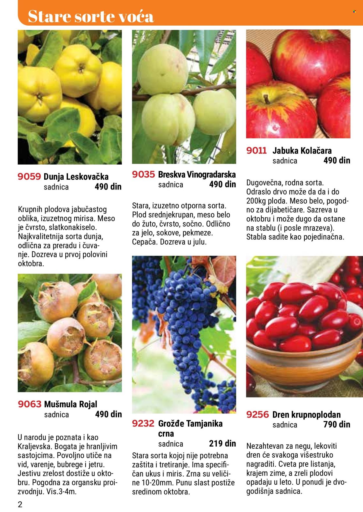 Flora Ekspres katalog. Stranica 2