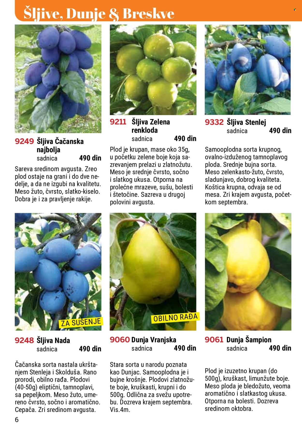 Flora Ekspres katalog. Stranica 6