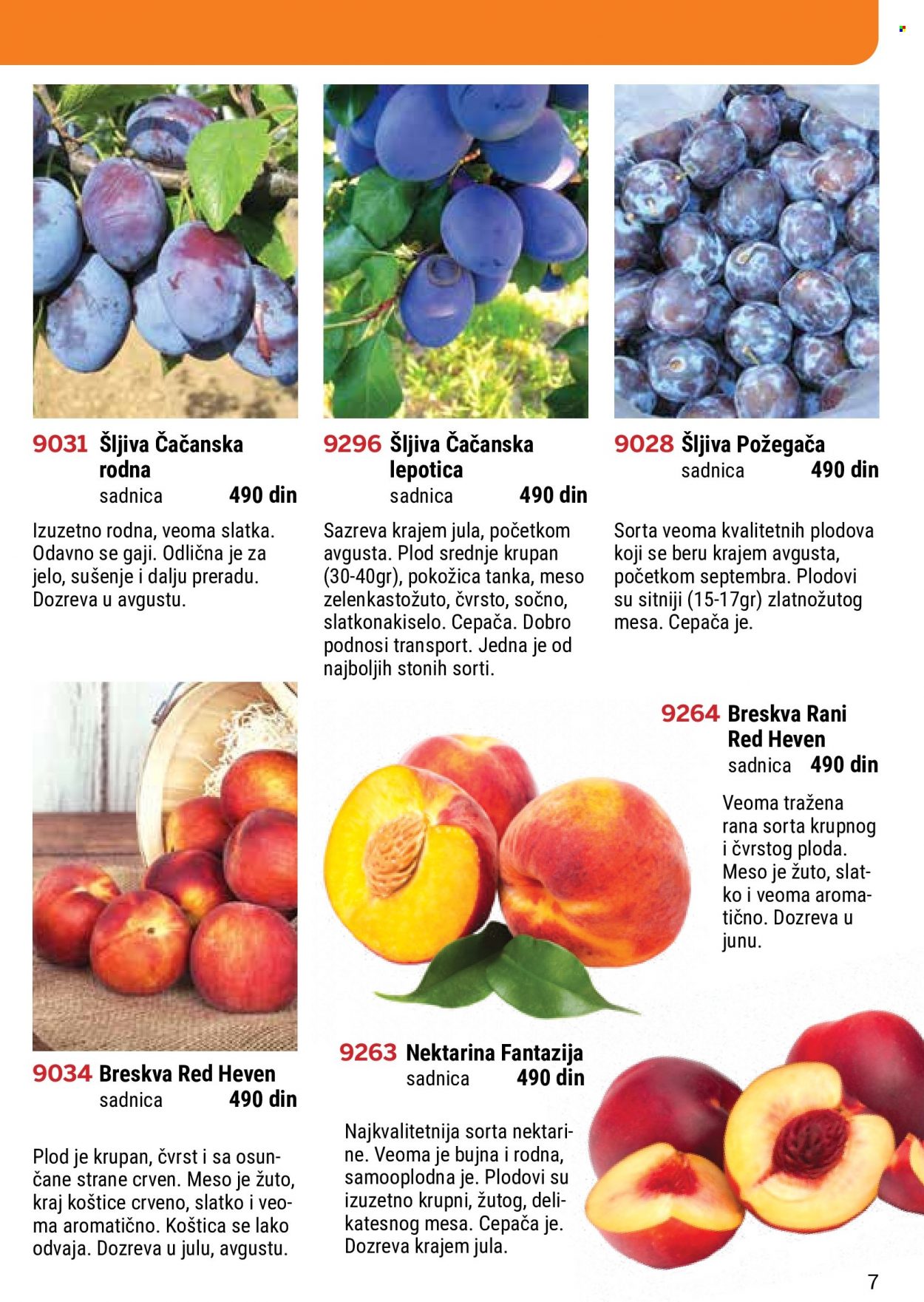 Flora Ekspres katalog. Stranica 7