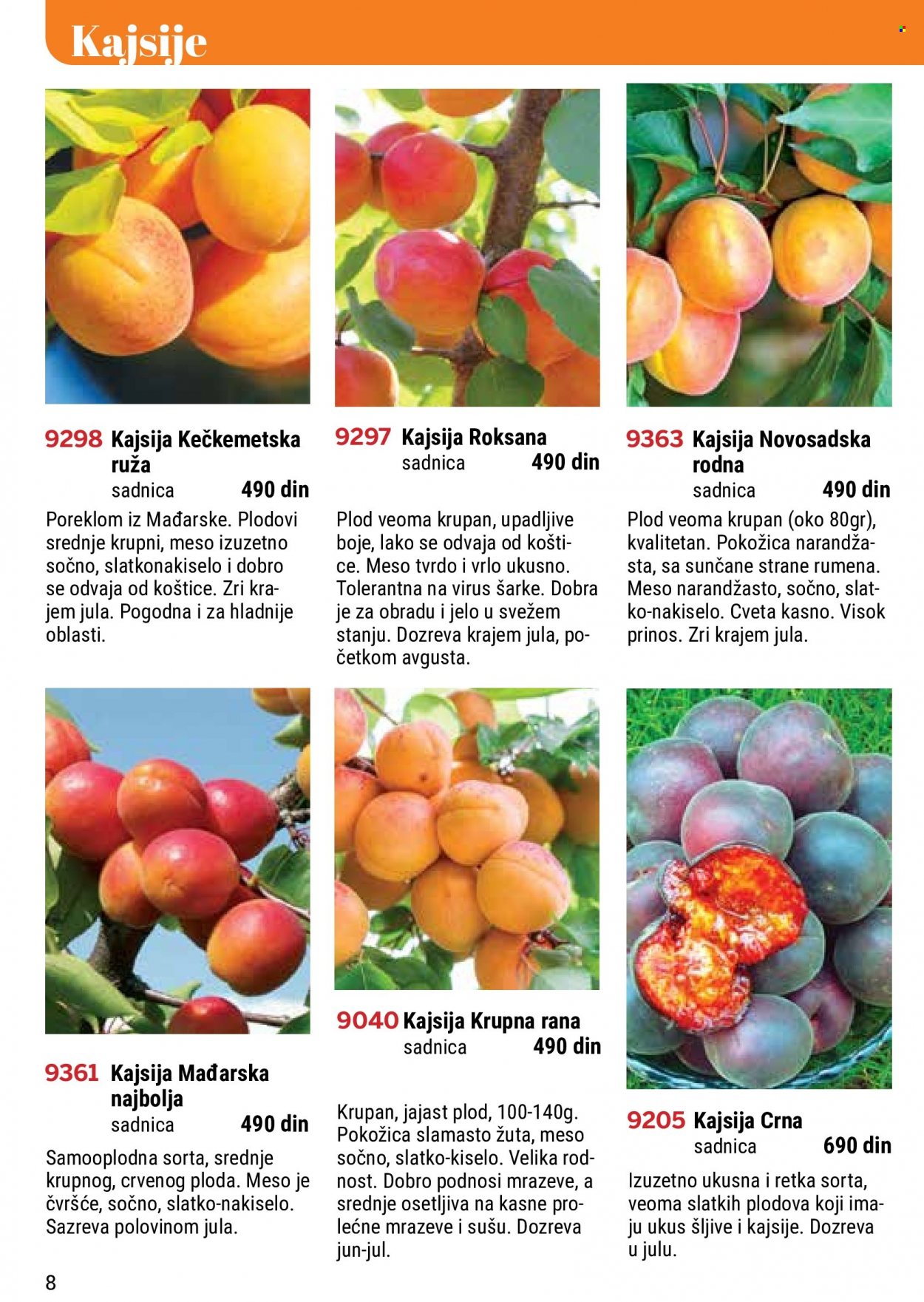 Flora Ekspres katalog. Stranica 8