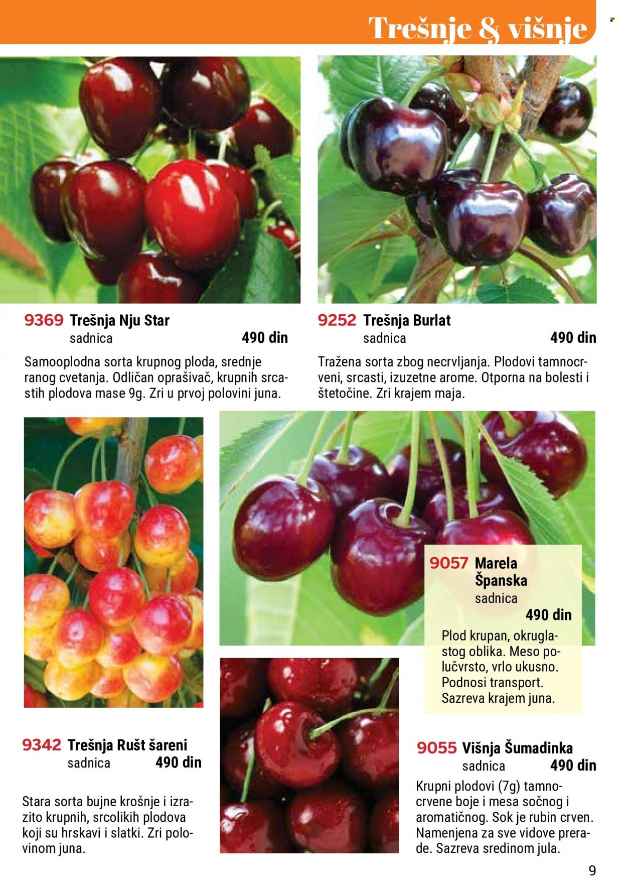 Flora Ekspres katalog. Stranica 9