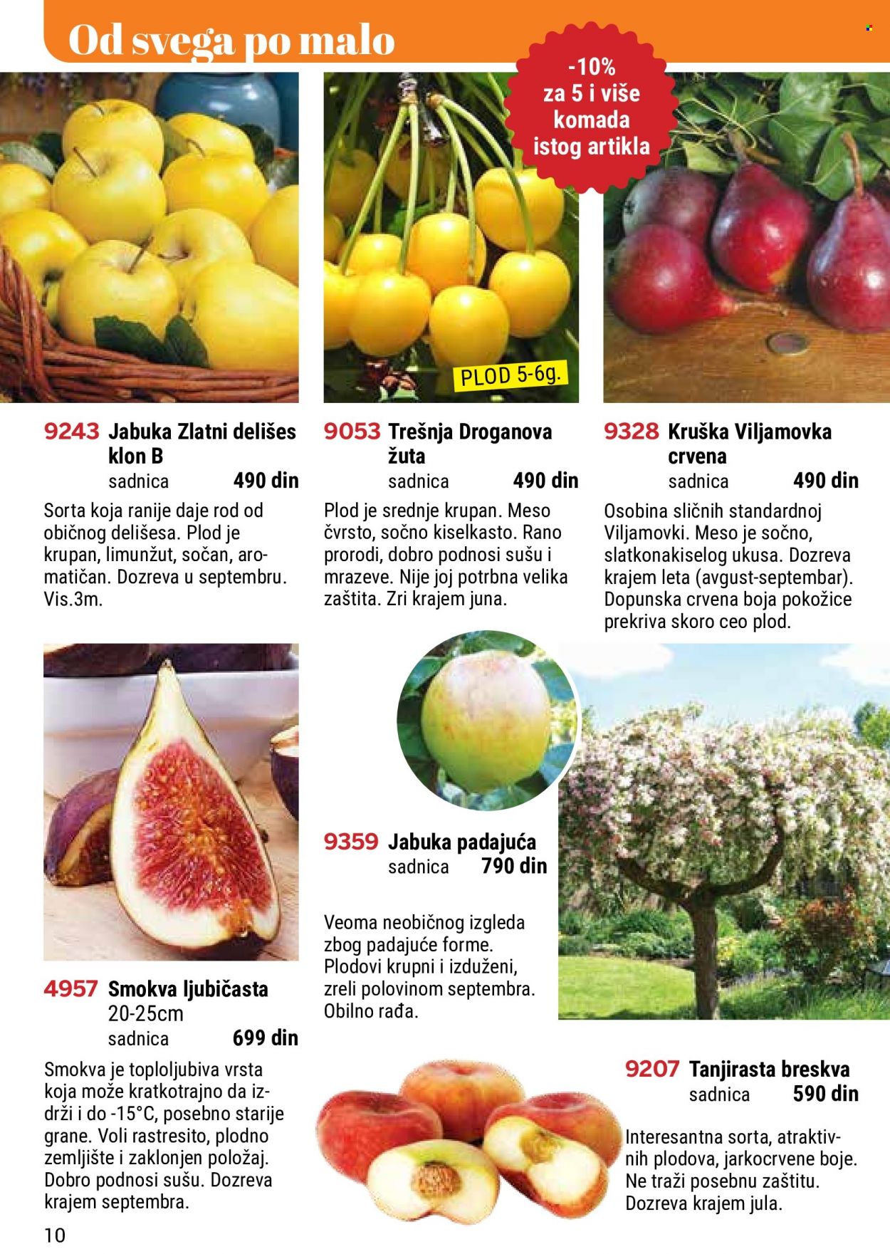 Flora Ekspres katalog. Stranica 10