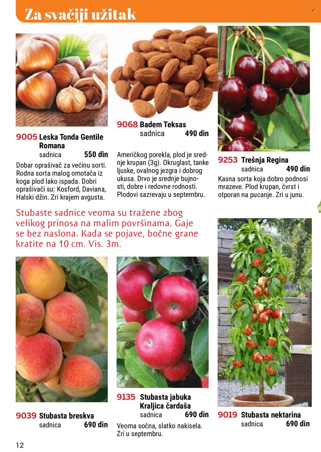 Flora Ekspres katalog. Stranica 12