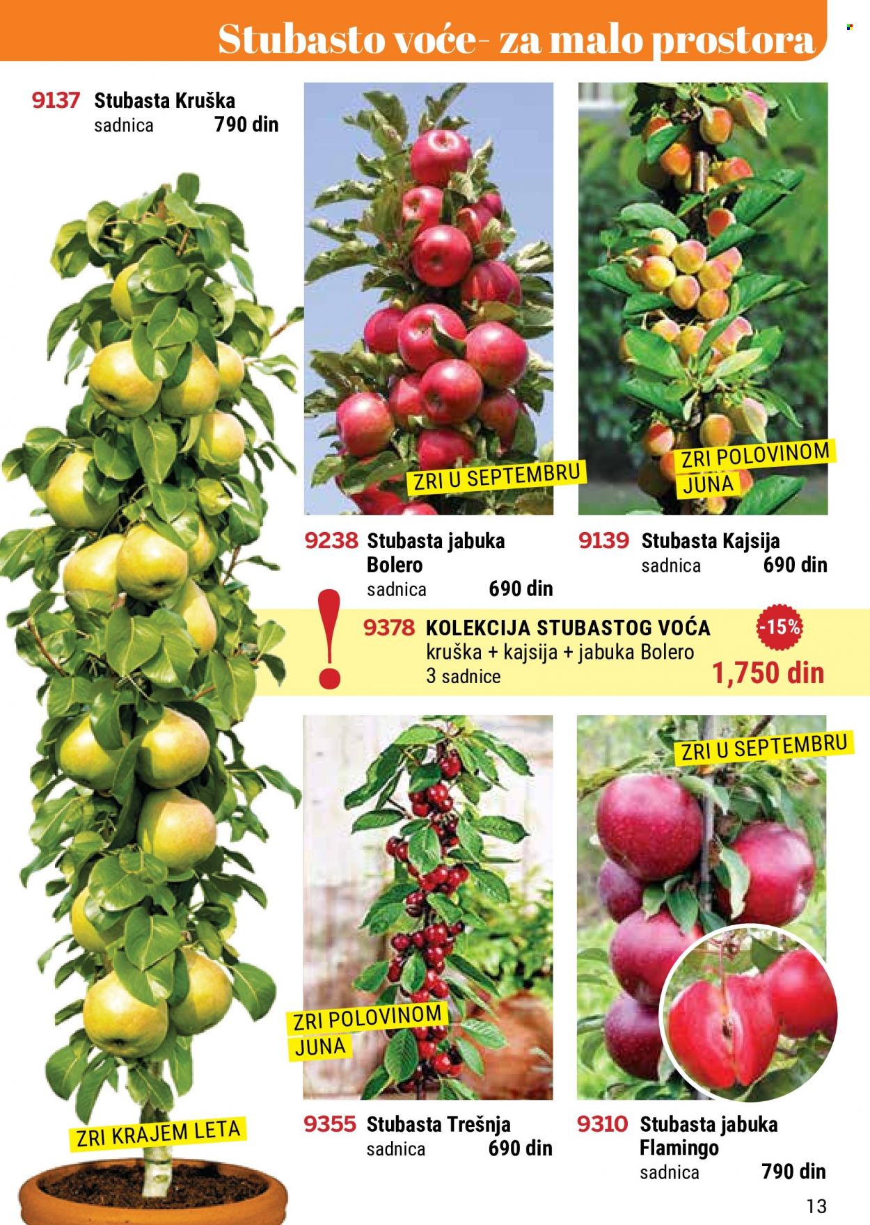 Flora Ekspres katalog. Stranica 13