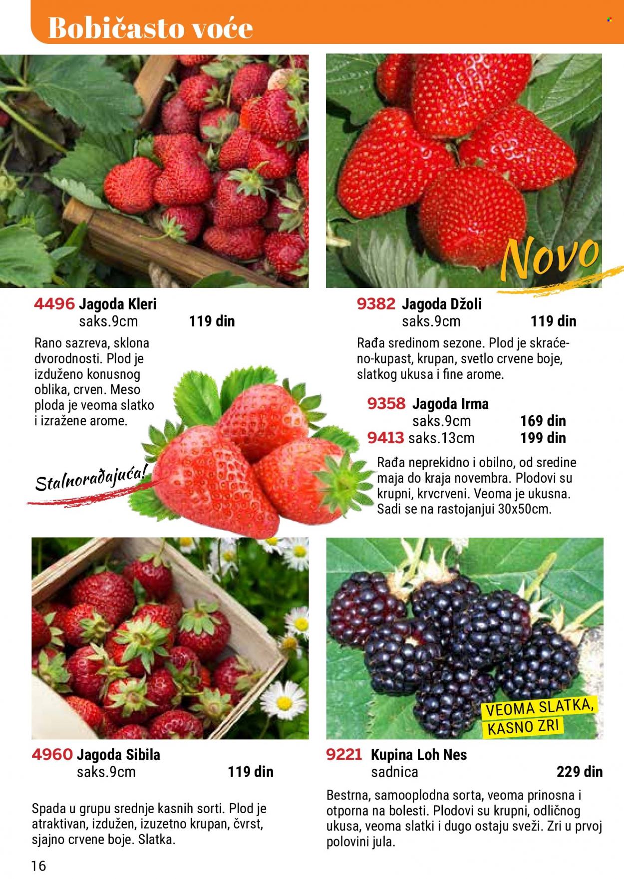 Flora Ekspres katalog. Stranica 16