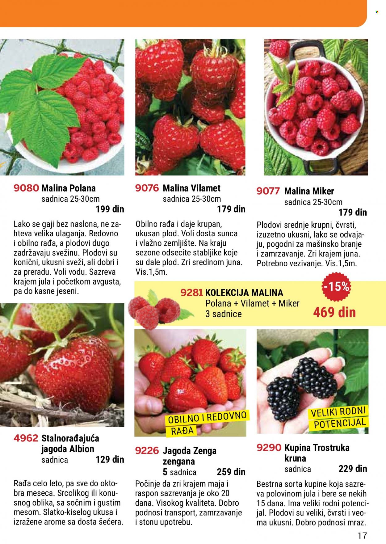 Flora Ekspres katalog. Stranica 17