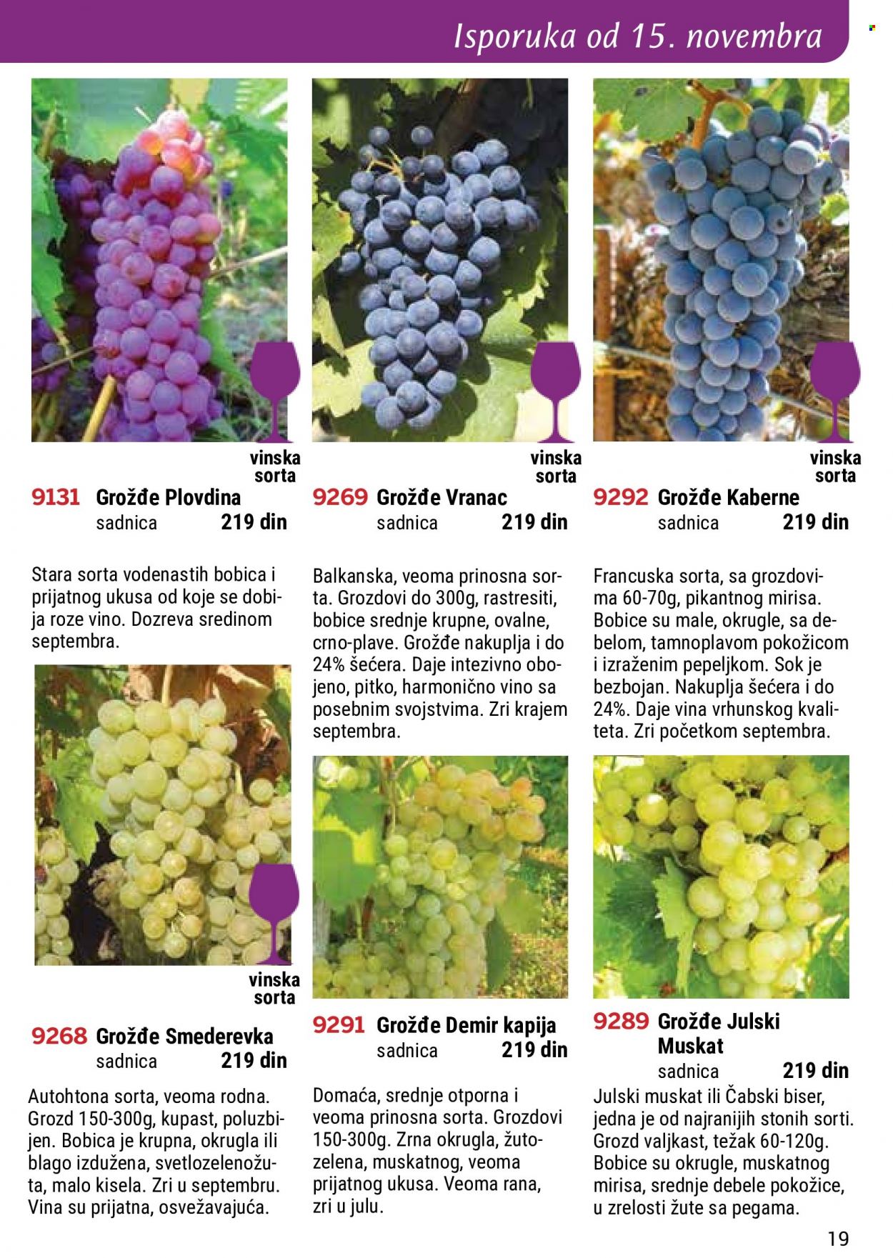 Flora Ekspres katalog. Stranica 19
