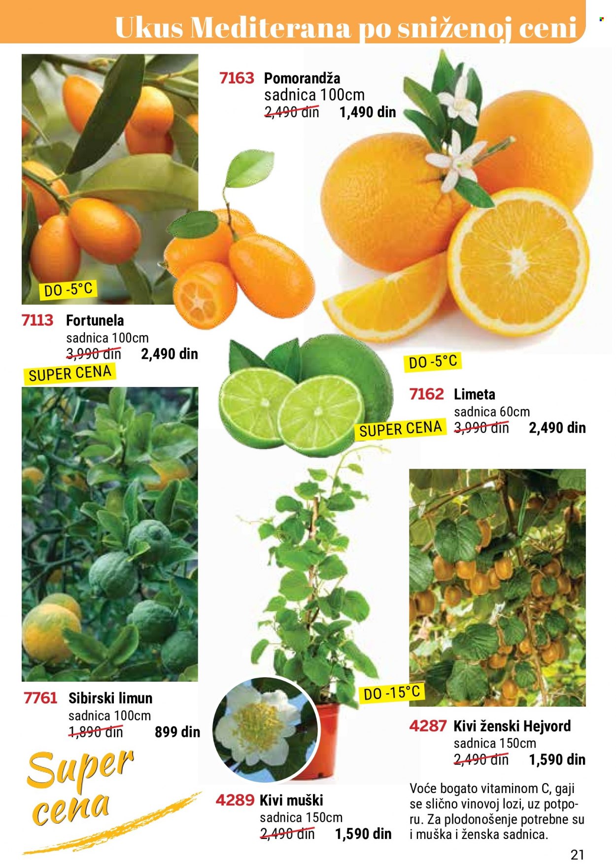 Flora Ekspres katalog. Stranica 21