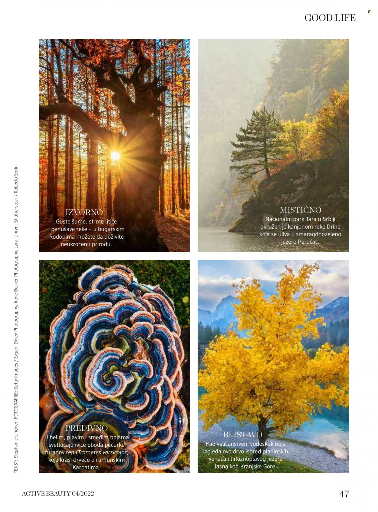 dm drogerie katalog. Stranica 47