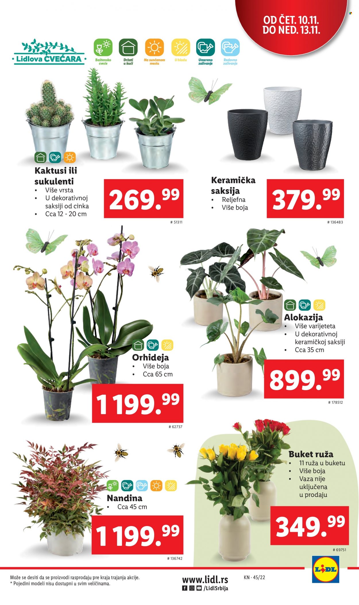 Lidl katalog - 10.11.2022 - 16.11.2022. Stranica 17