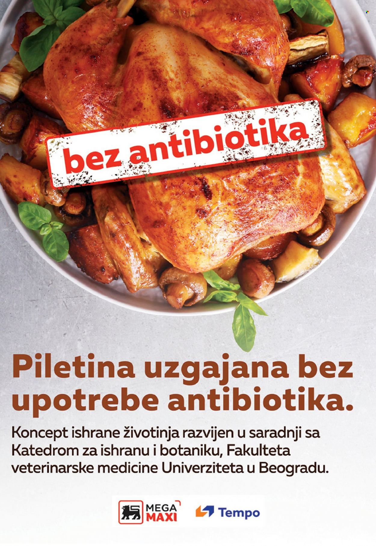 Mega Maxi katalog - 23.11.2022 - 06.12.2022. Stranica 10