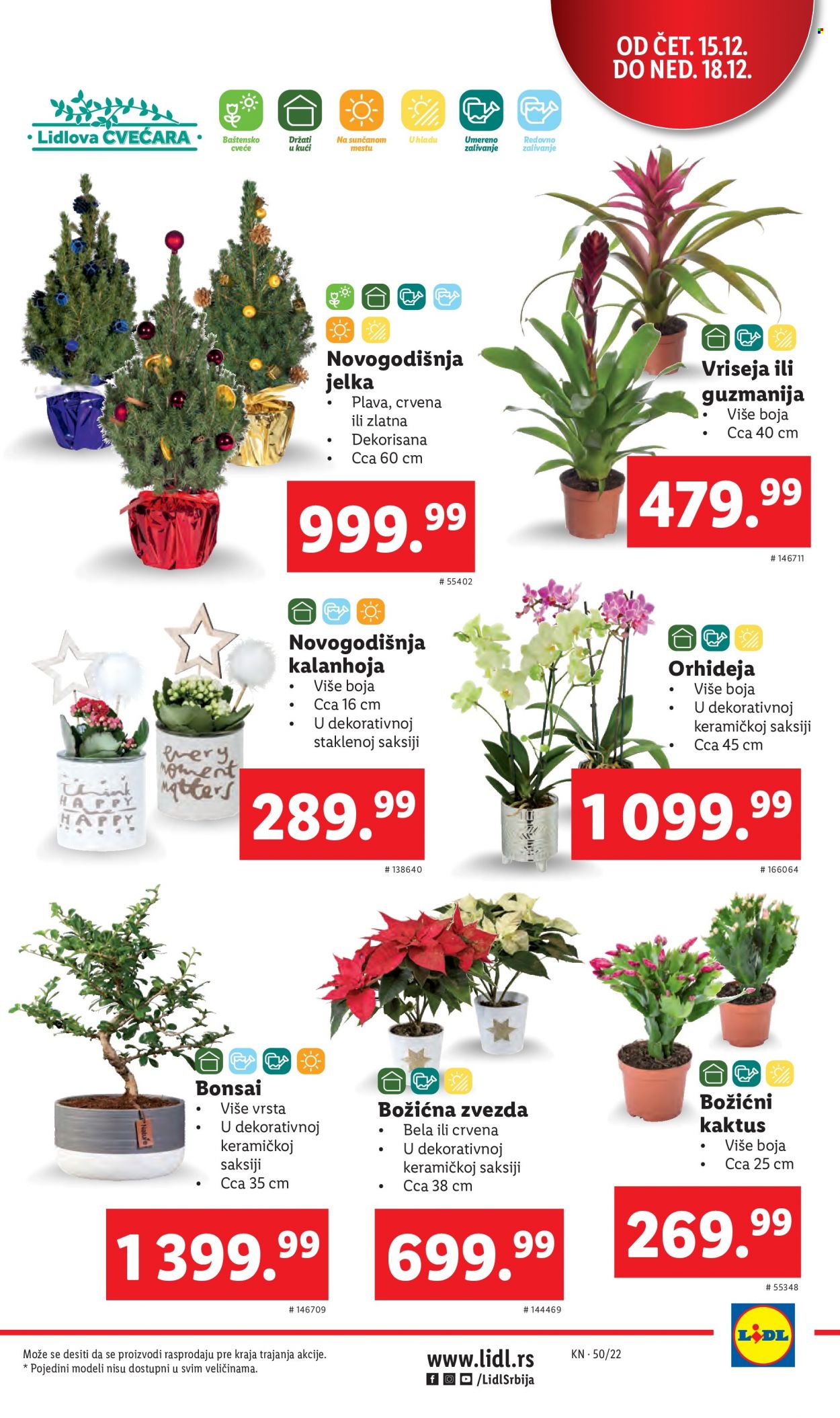 Lidl katalog - 15.12.2022 - 21.12.2022. Stranica 7