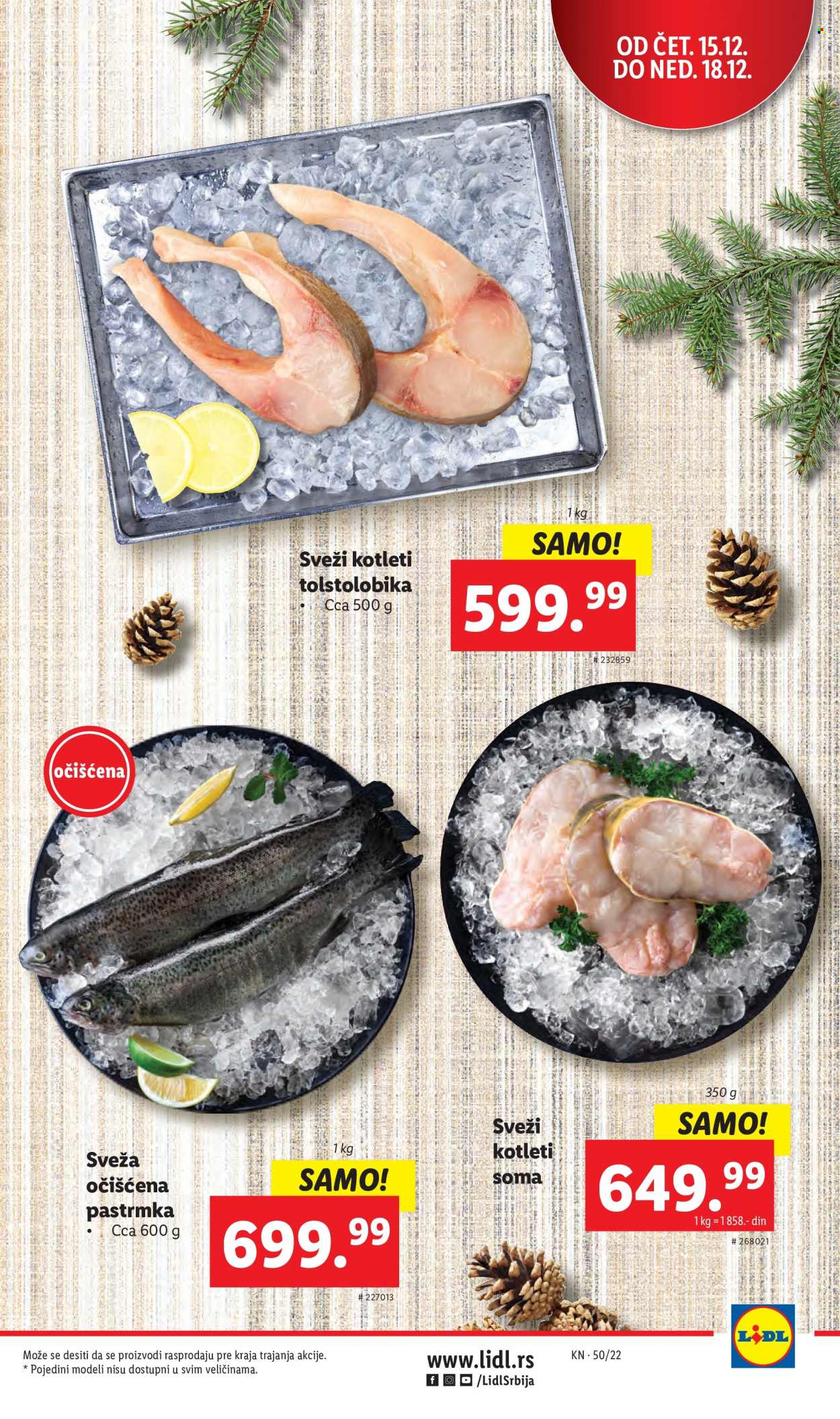 Lidl katalog - 15.12.2022 - 21.12.2022. Stranica 23