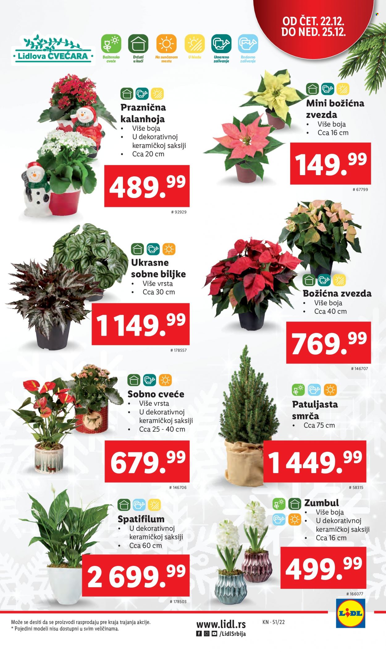 Lidl katalog - 22.12.2022 - 28.12.2022. Stranica 9